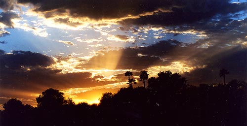 The skies of Arizona, from the roof of the Angle house